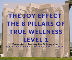 The Joy Effect (2)